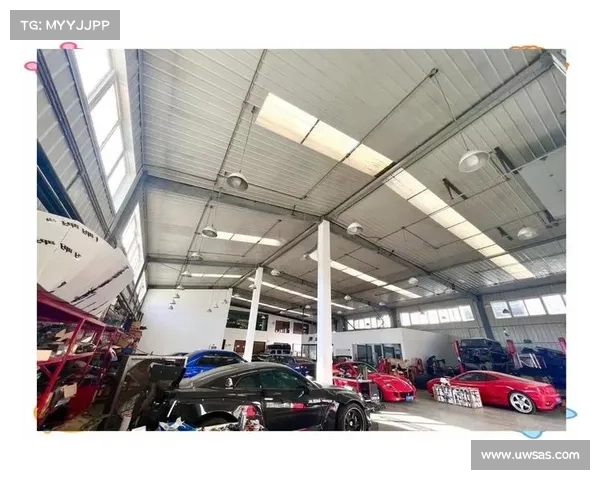 金港汽车公园年度激情赛车大战各路车手巅峰对决荣耀时刻